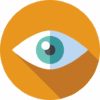 vision (1)